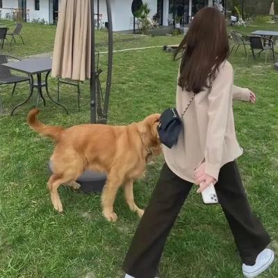 我可以自己疯